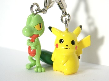 ポケモン図鑑 キモリ（グッズ）