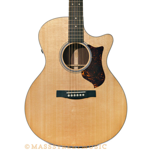 Martin GPCPA4 Sitka and Rosewood Acoustic Guitar with case | Mass