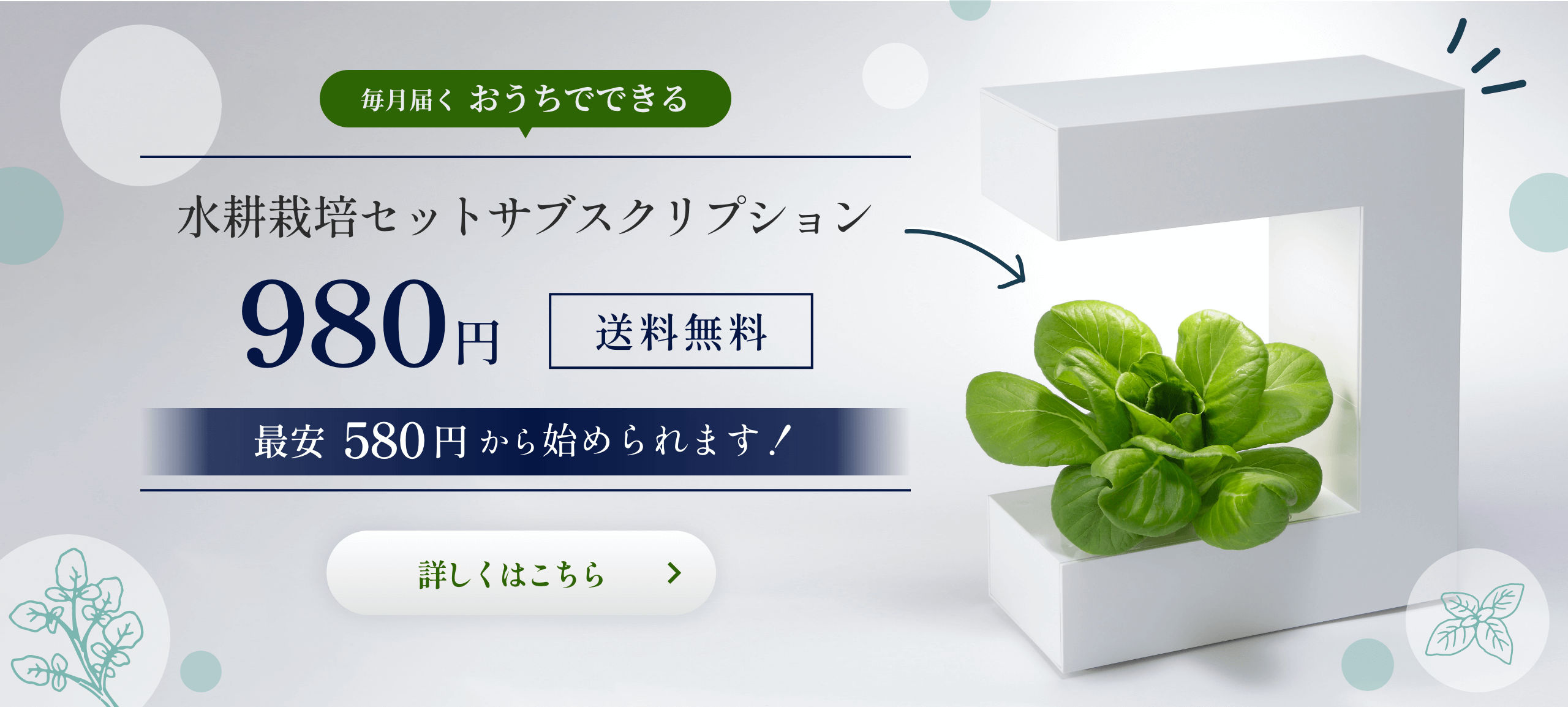 ルッコラ水耕栽培記（Akarina15） | コラム | OATアグリオ栽培メディア