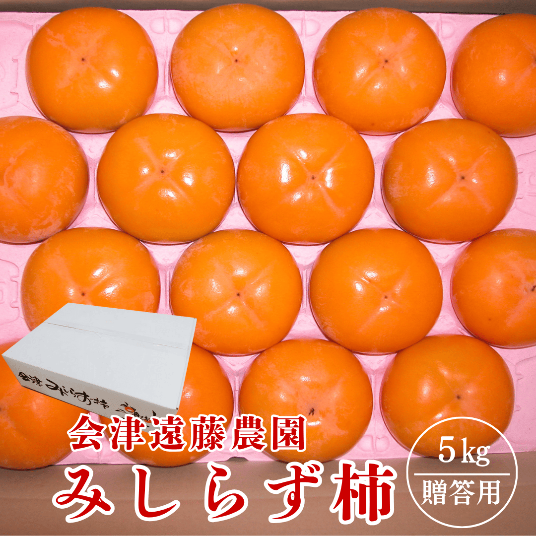 柿 【会津遠藤農園】みしらず柿 御山柿 5kg 2L～4L 14～18個 秀 福島県