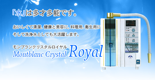 美人水（アルカリイオン水、酸性イオン水、衛生水、洗浄水）の生成器