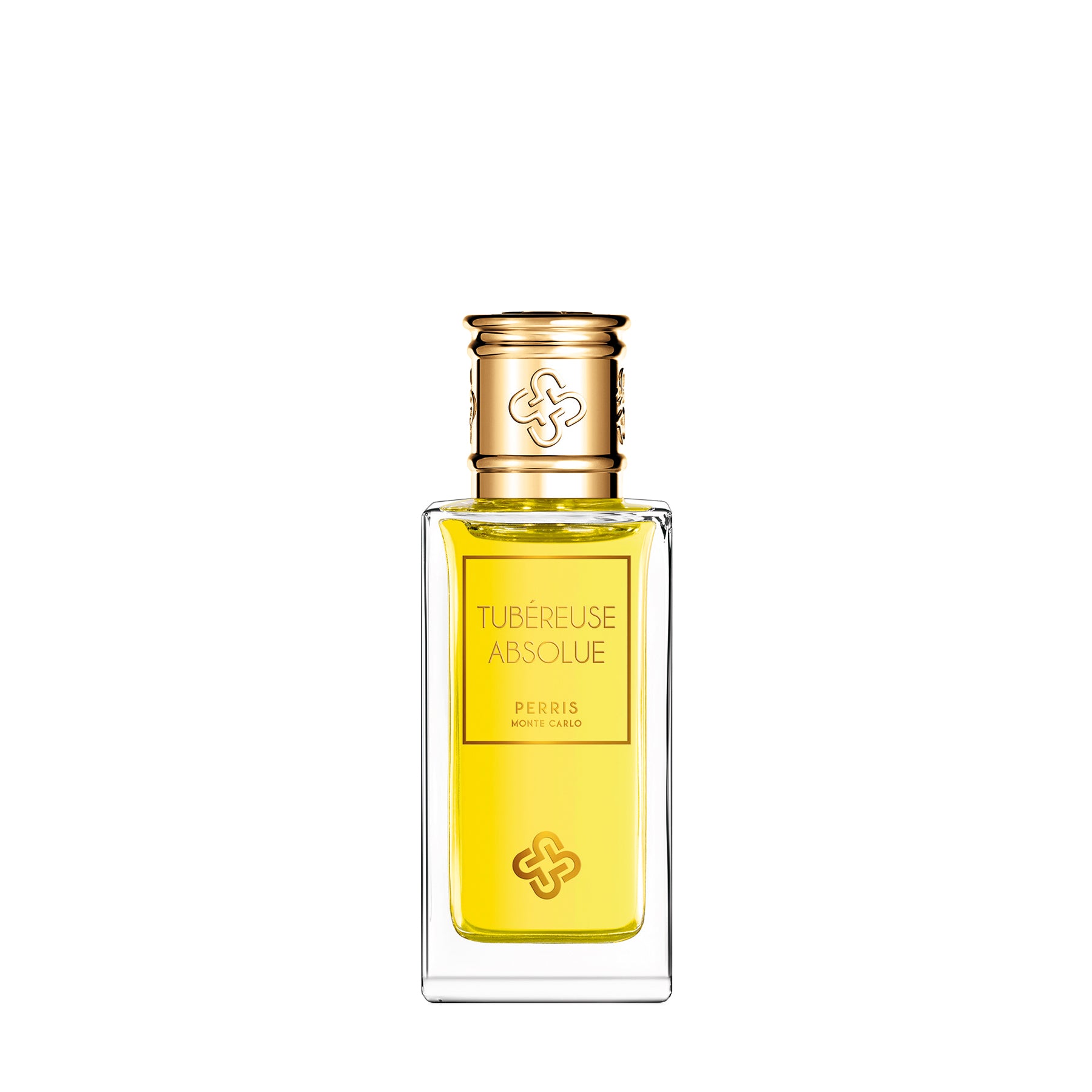 PerrisMonteCarlo_TUBEREUSEABSO