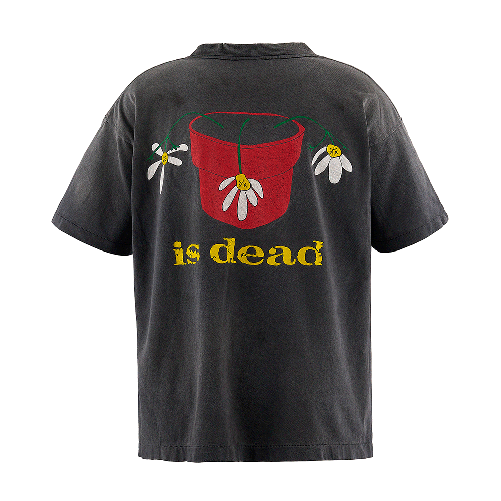 dls2.gif?v=1755366673