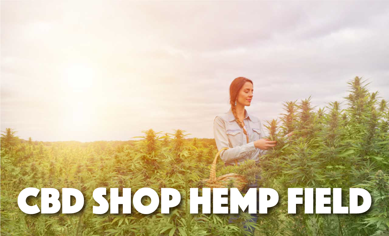商品 – CBD SHOP HEMP FIELD