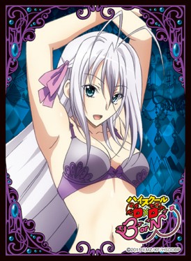 ハイスクールDxD BorN | 作品名 | きゃらサプライシリーズ