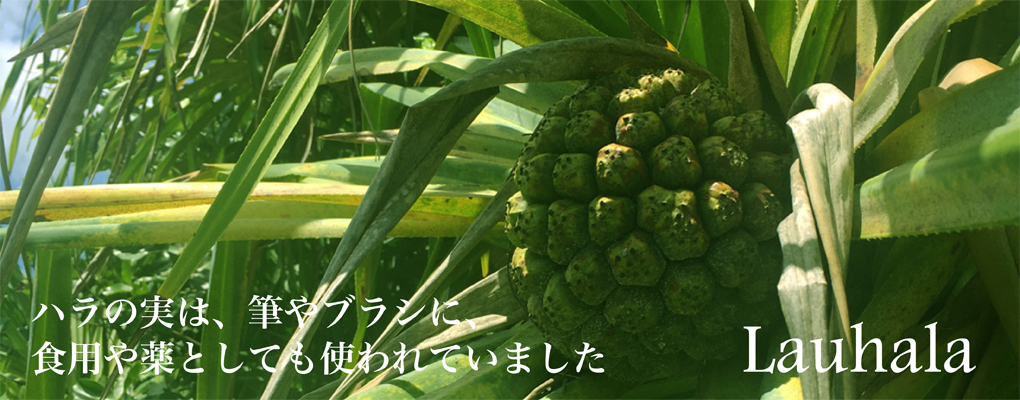 ハワイの植物：Lauhala（ラウハラ）の育て方 - ハワイアン・セレクト