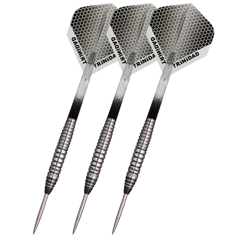 TRiNiDAD GONZALEZ TYPE6 STEEL Darts Barrel Hard 西哲平