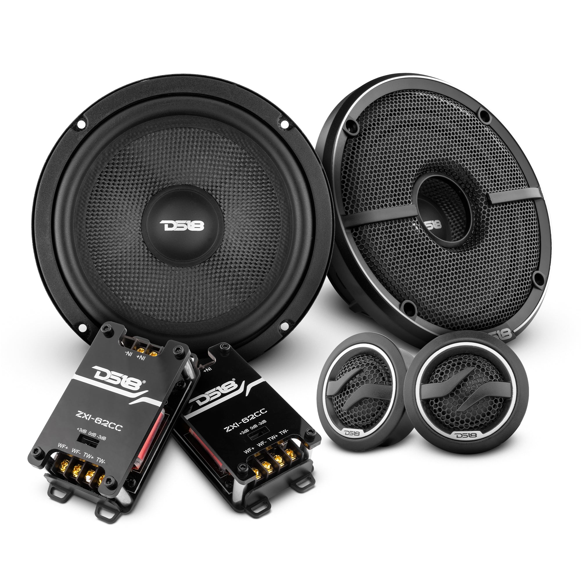 DS18 ELITE 6.5