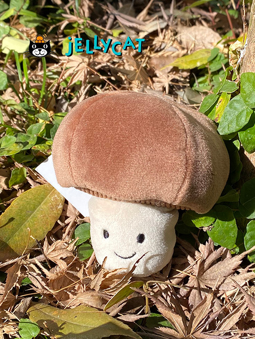 Vivacious Vegetable Mushroom マッシュルーム きのこ キノコ