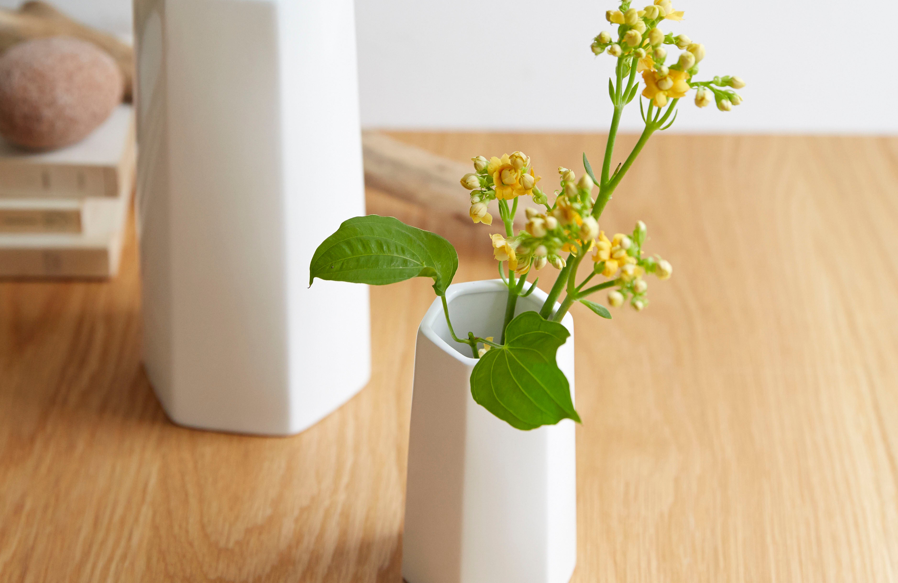 vase_material.jpg?v=1696325217
