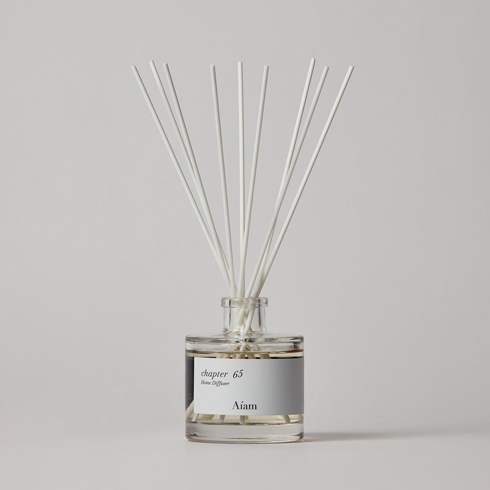 ディフューザー チャプター65