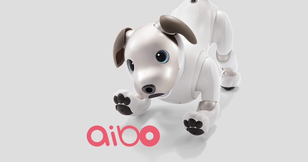アクセサリー／関連グッズ | aibo