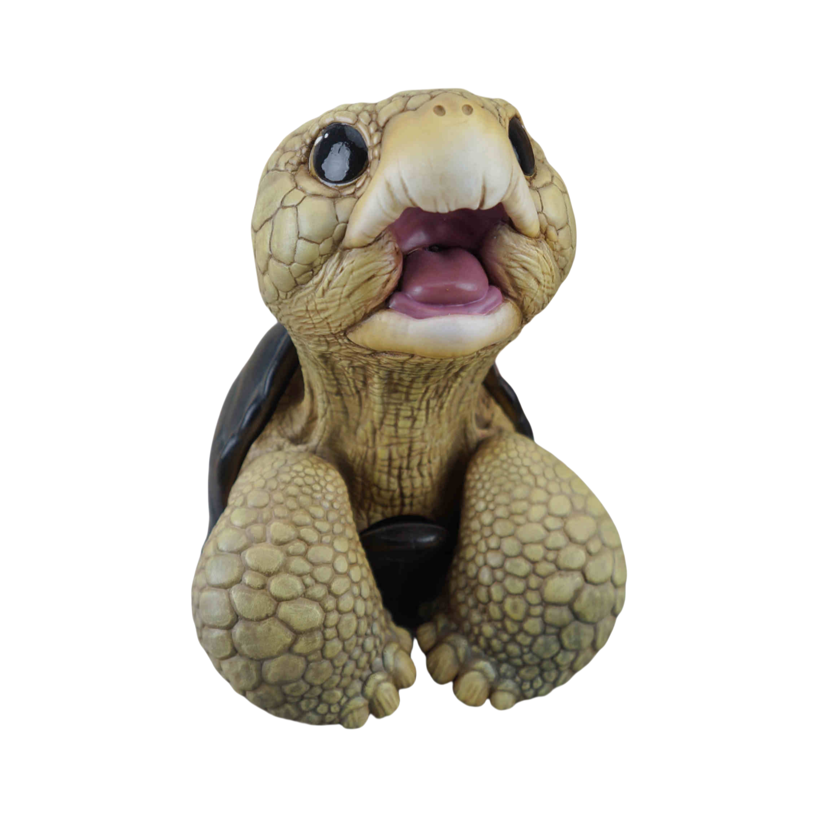 博物志 アカアシガメ ガラパゴスゾウガメ リクガメ 7-11CM級 樹脂