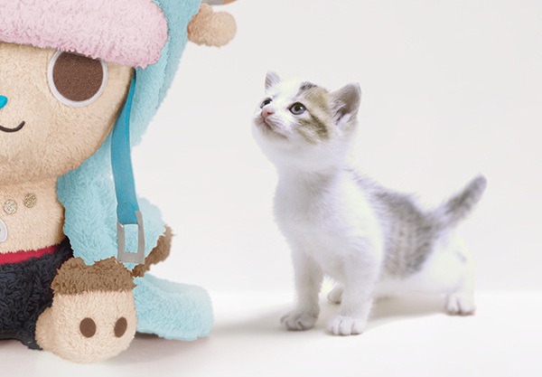 特大チョッパーぬいぐるみ 発売 【連載20周年】｜LOGPIECE（ワンピース