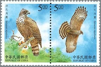 鳥類の切手｜動物を捕食する猛禽類（ワシ、タカ、隼、鳶（トビ）等）と
