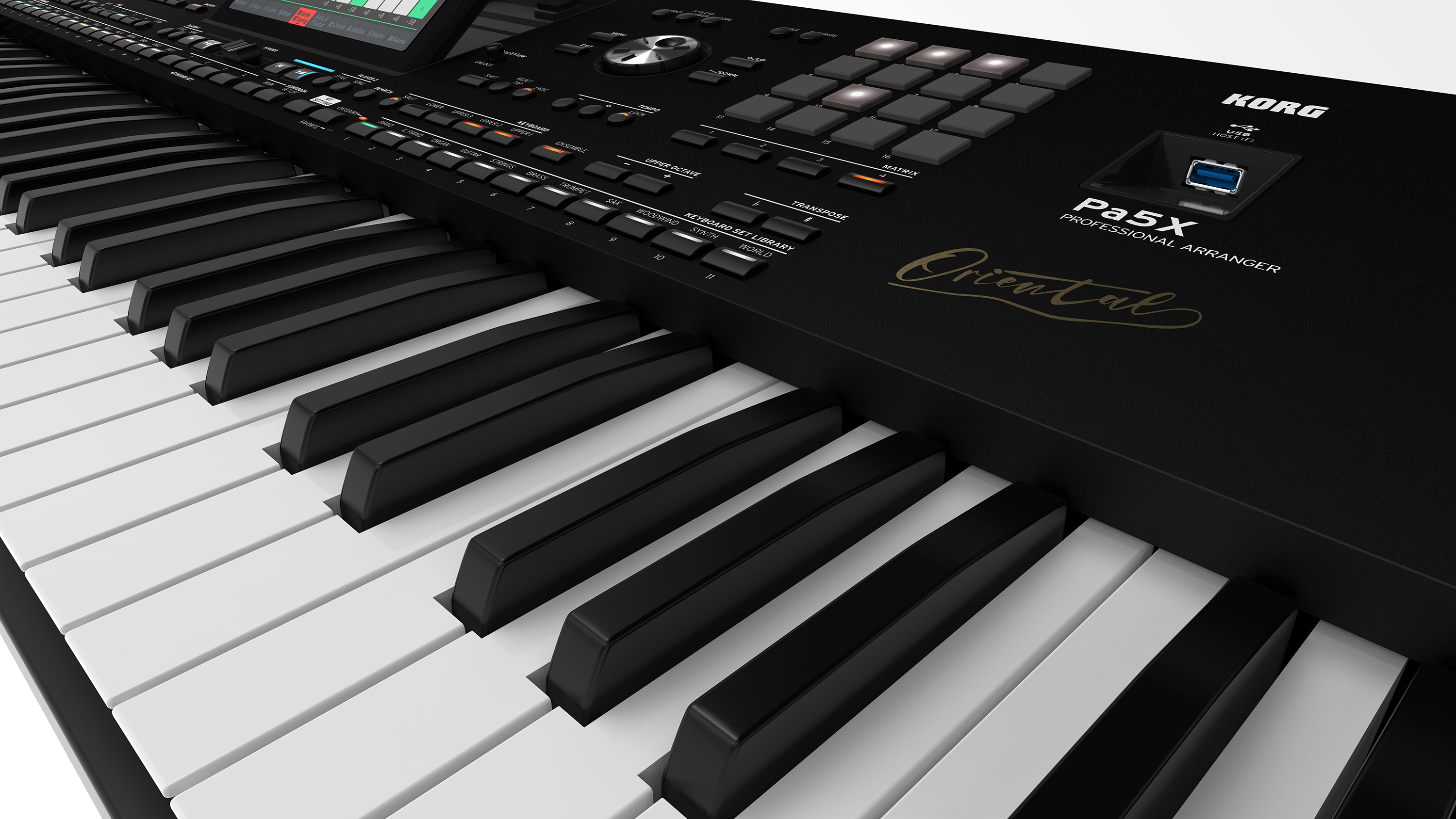 Korg PA5X Oriental 61-key Arranger Workstation Keyboard MONITOR