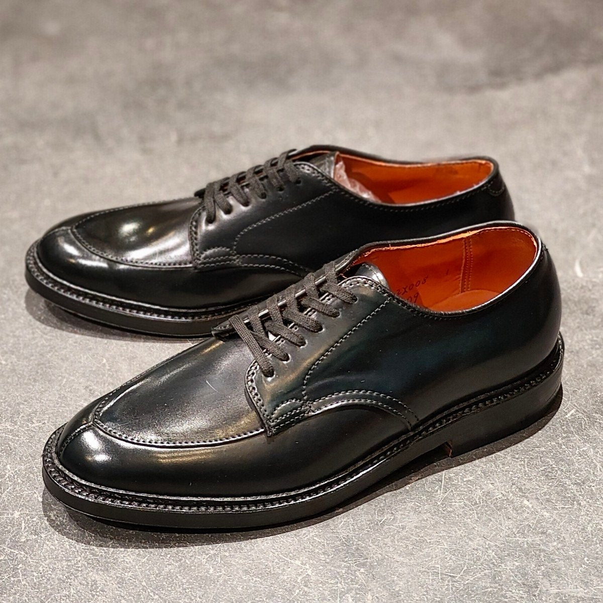 希少 新品未使用【ALDEN】オールデン ワイルドライフテーラー別注