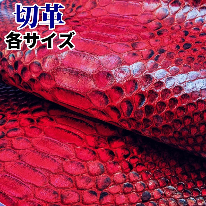 ヘビ革/赤（red・snake・あか・紅色）の革素材を販売 – レザーマニア