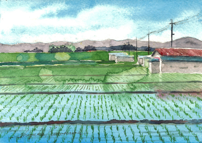 癒しの水彩画1060 田園 癒しの水彩画1060 田園 癒しの水彩画1060 田園
