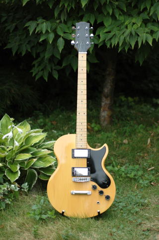 Westminster-L390N