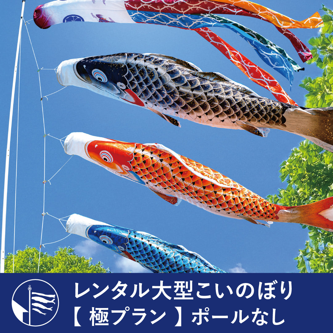極プラン 】慶祝の鯉 吉兆《大型こいのぼりレンタル》｜ 徳永