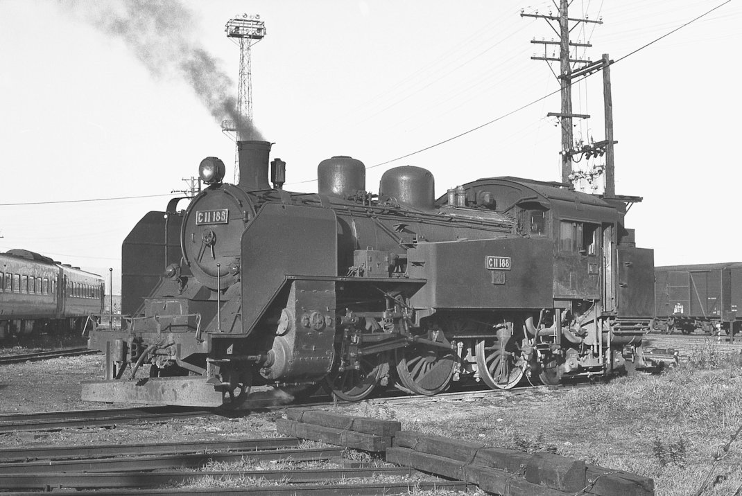 hoiho-43.jpg