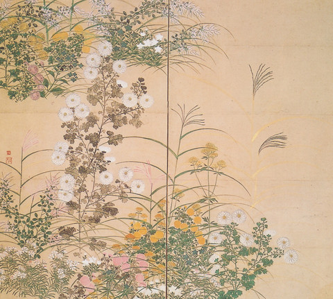 日本の美 薄！ 琳派のすすき: いづつやの文化記号