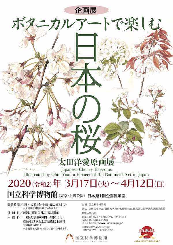 太田洋愛原画展 | 青柳庵日記