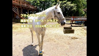 功労馬 | フサイチリシャール