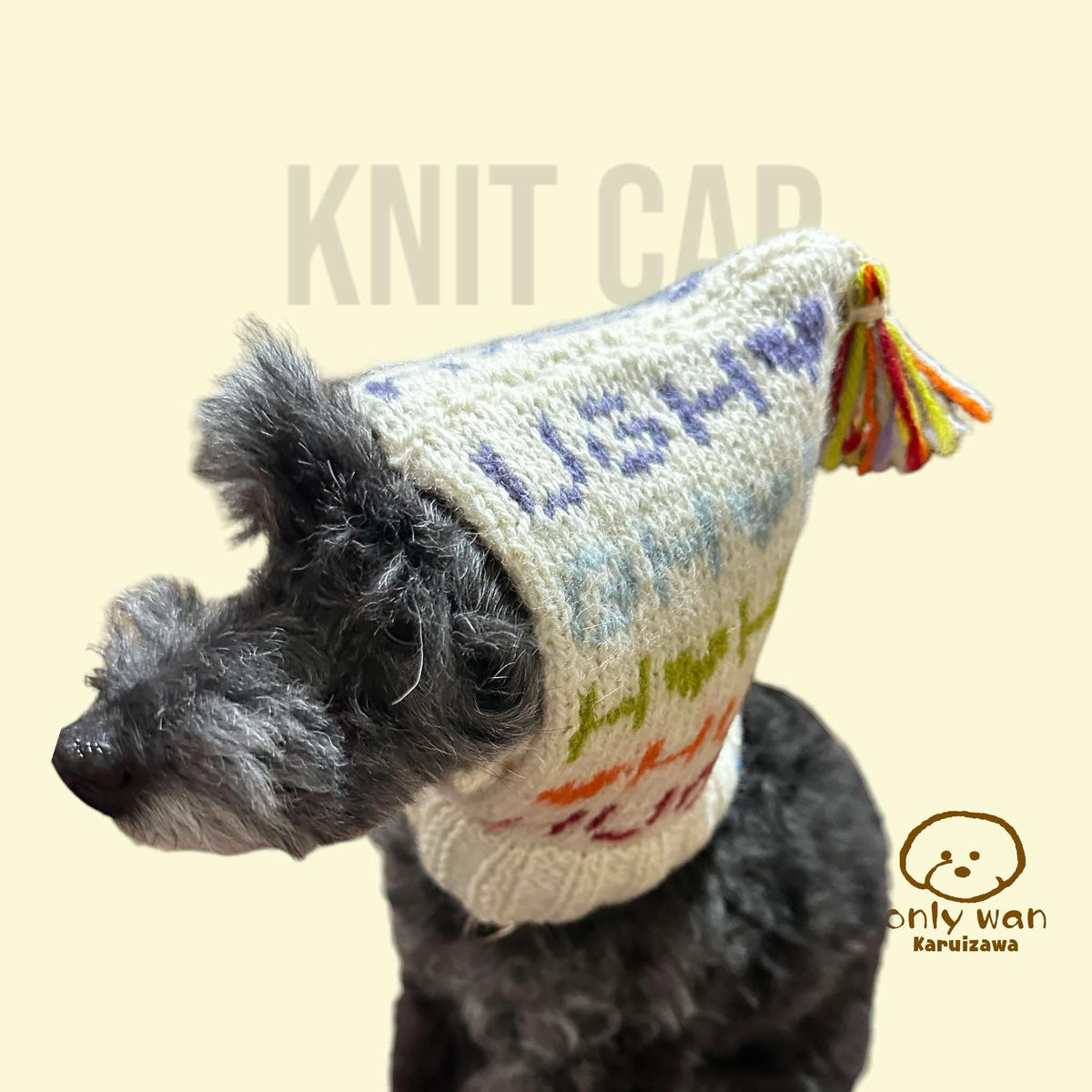 knit_cap_3_1200x1200.jpg?v=