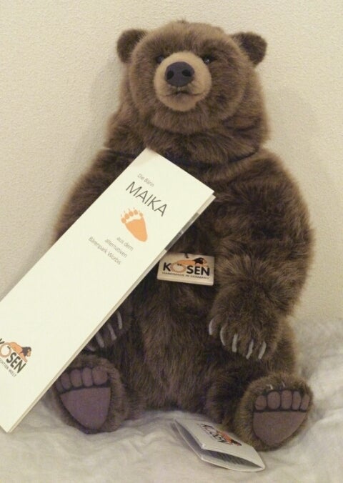 Kosen 限定300 Brown Bear“Maika”。 | nicoﾌﾞﾛｸﾞ。