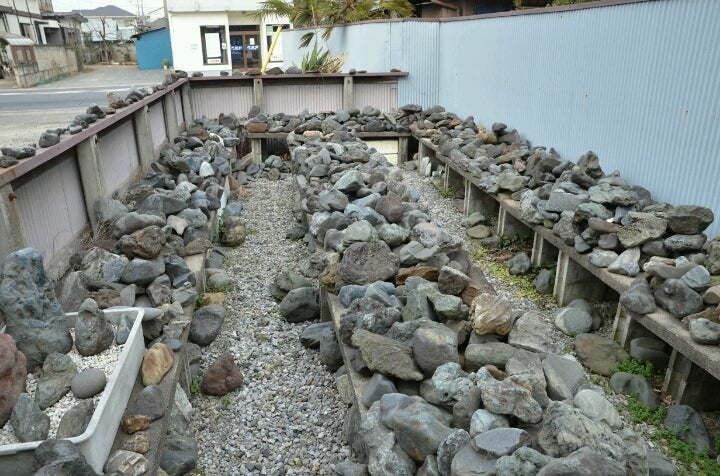 八海山石の魅力とは | コサックダンスをしながら水草水槽を楽しむ。ブログ