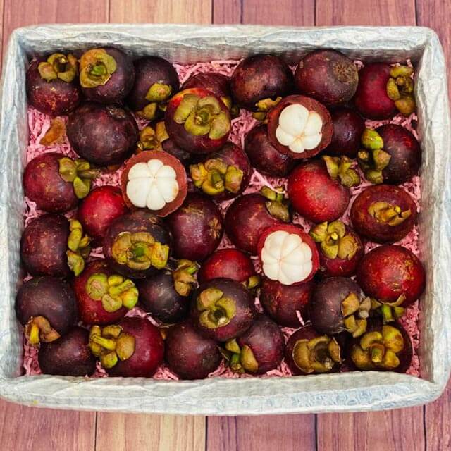 Purple Mangosteen Fruit 15 lb – Sunglass girl