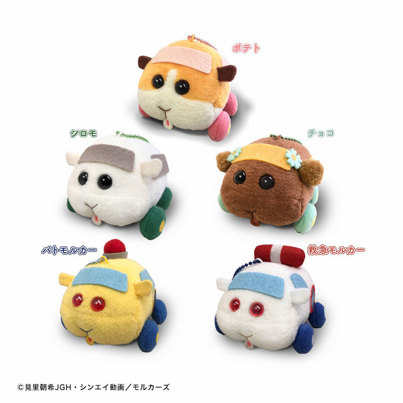 PUI PUI モルカー もちころりん ぬいぐるみマスコットVol.1(5個入りBOX