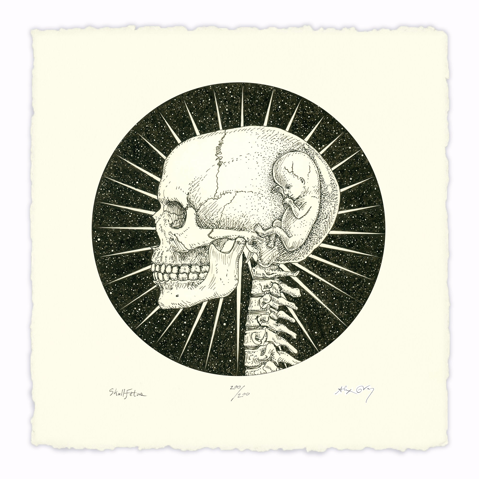 Skull Fetus - Paper Print – CoSM Shop