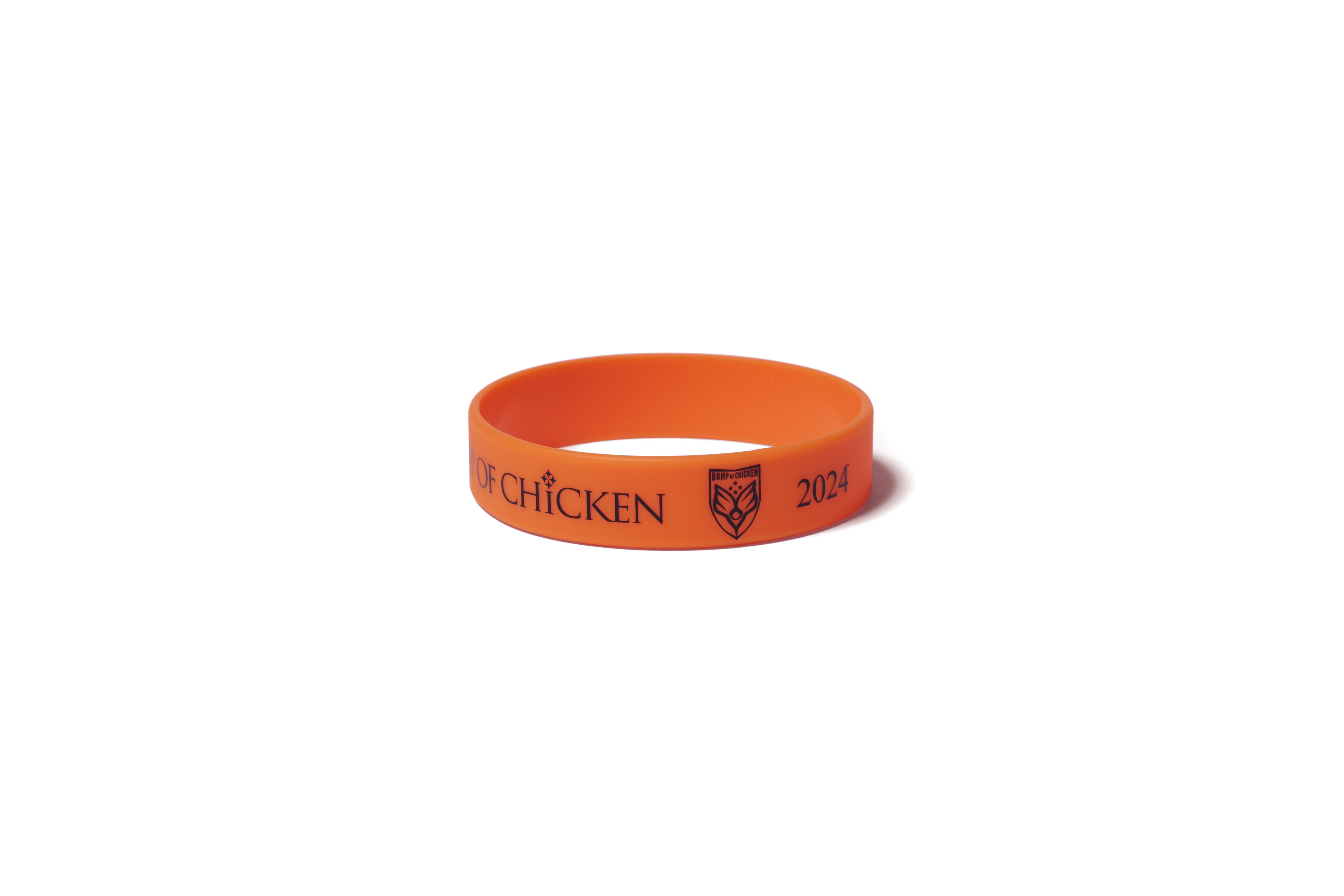 Charity Band 2024