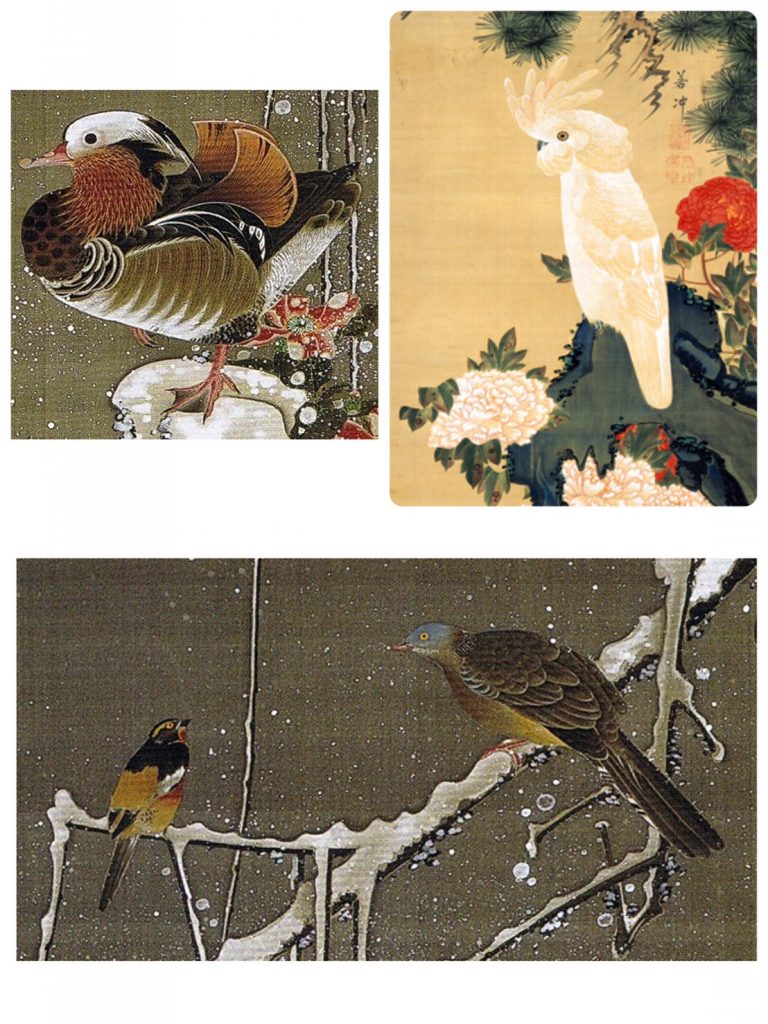 伊藤若冲 竹内栖鳳 川合玉堂 日本の巨匠たちが描く「鳥」たち