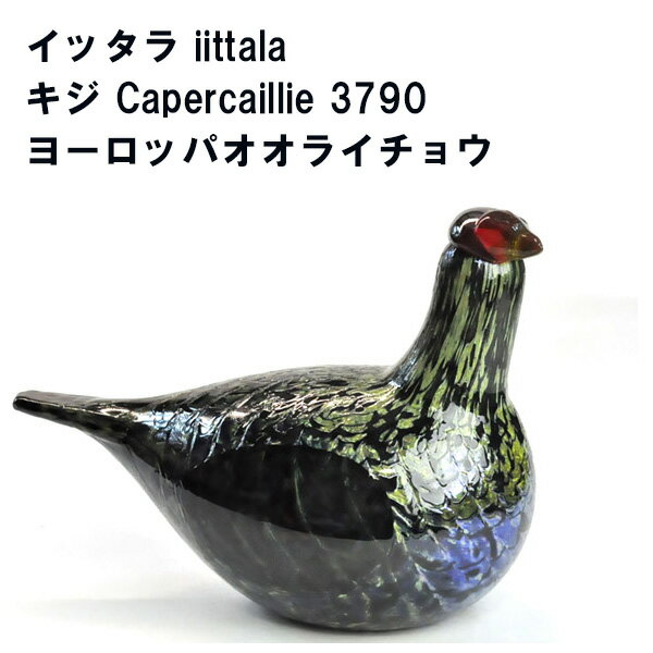 イッタラ バード オイバ トイッカ iittala オオライチョウ