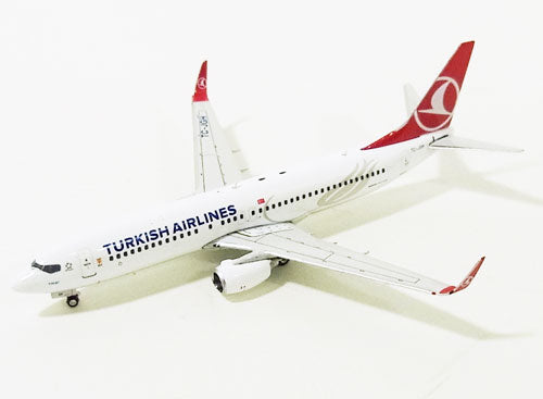Phoenix 737-800 ターキッシュ・エアラインズ（トルコ航空）TC-JGH 1