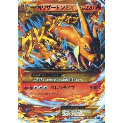 XY2 / ワイルドブレイズ