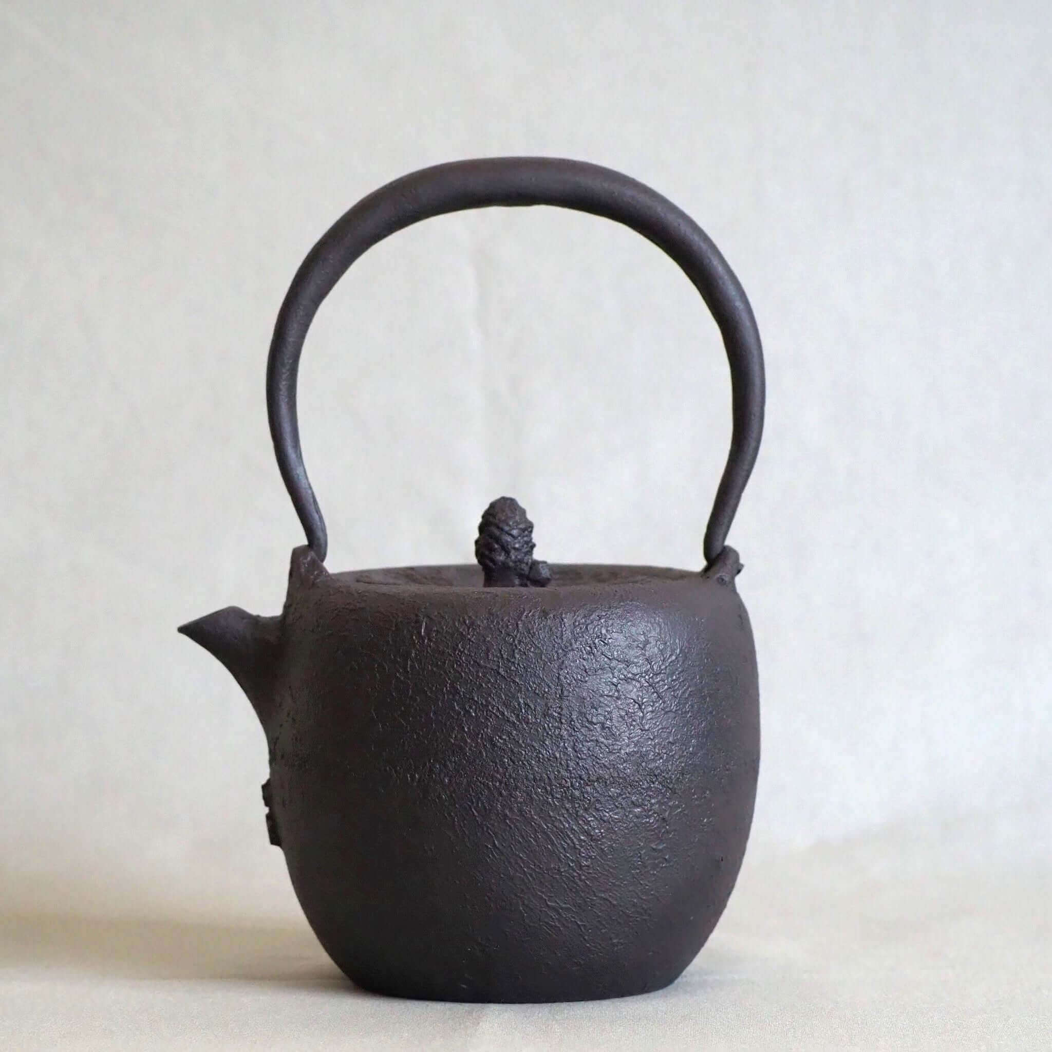 山形鋳物 あらい工房作 小雪 なつめ鉄瓶 [東山堂煎茶器店 オンライン