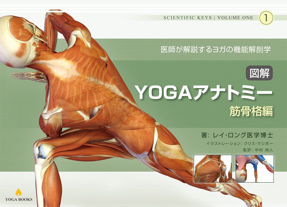アカデミック】図解YOGAアナトミー:筋骨格編 - 医師が教えるヨガの機能