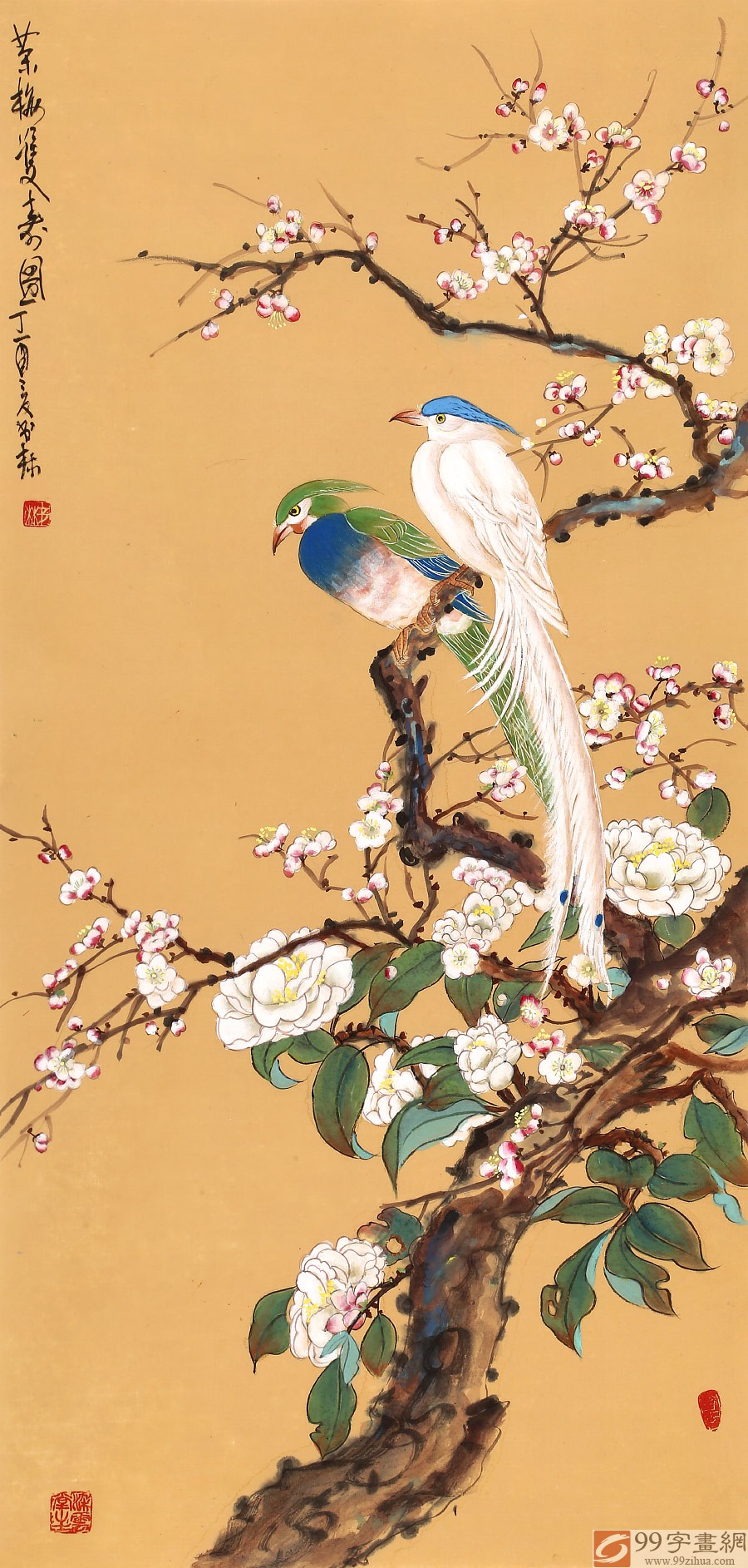 董书林四尺工笔花鸟《双寿图》 河南美协会员- 花鸟画- 99字画网