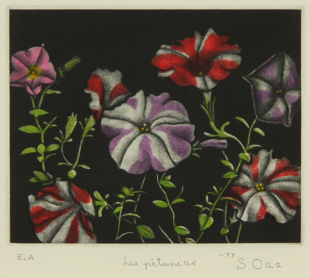 織田 繁 「Les Petunias」 Shigeru Oda - Gallery Tanabe