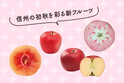 16.png?v=1734251357