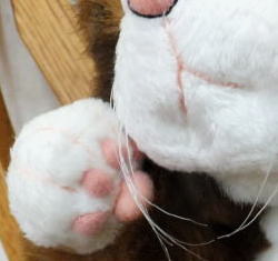 Cuddly（カドリー）デブ猫ぬいぐるみ ブルースⅡ キジ色- 猫グッズ・猫