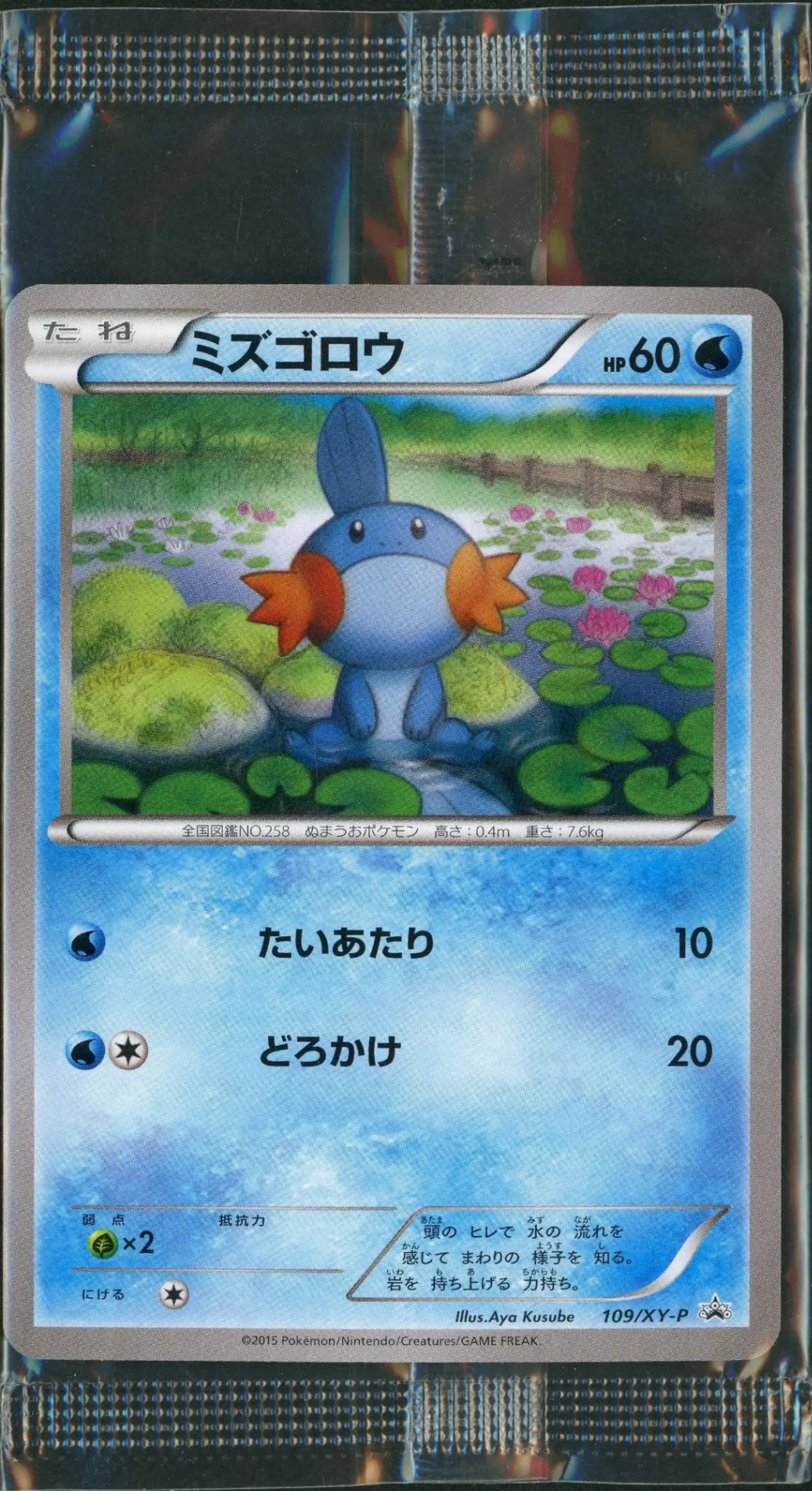 未開封プロモ】ミズゴロウ 109/XY-P – 晴れる屋2