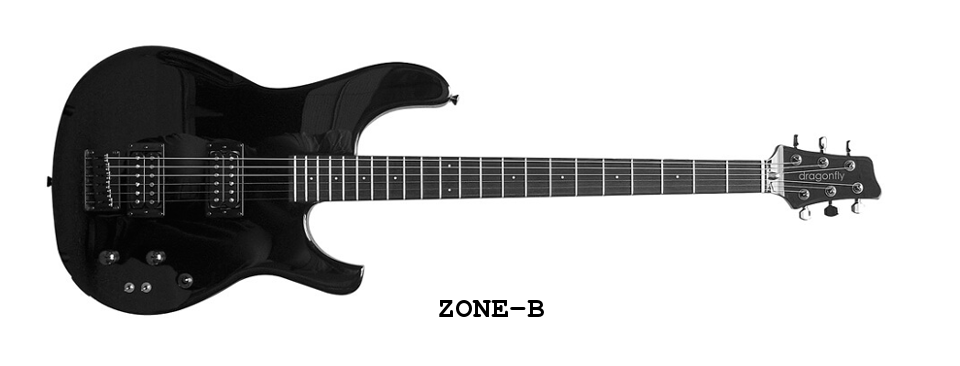 HARRY'S ENGINEERING / dragonfly custom guitars