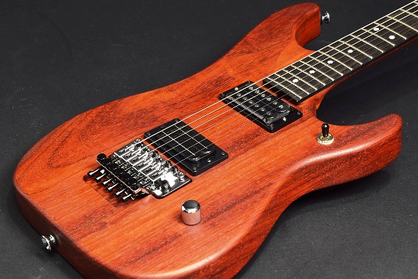 washburn N4が新入荷いたしました！！ | イシバシ楽器スタッフブログ