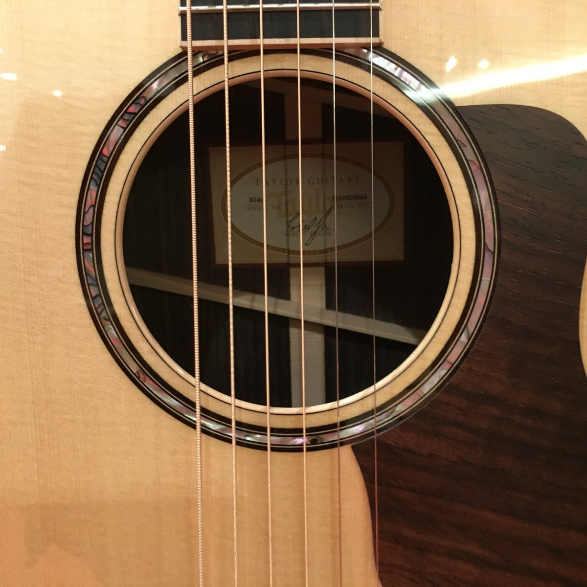 Taylor Japan Limited 814ce ES-2入荷！ | イシバシ楽器スタッフブログ